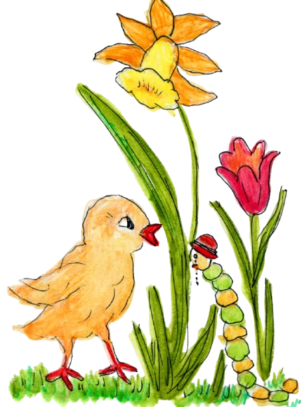 kueken-removebg-preview